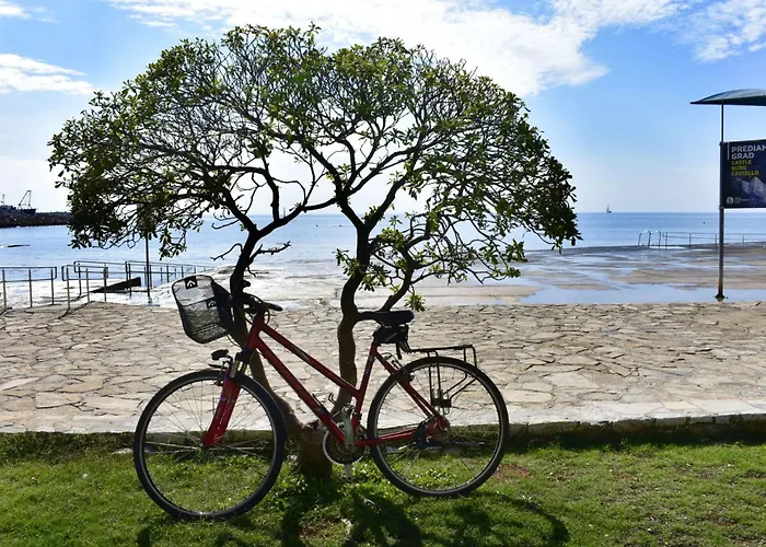 Mariza By Interhome Apartamento Umag